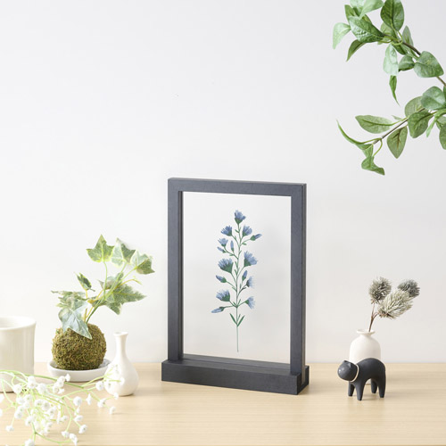 �g�p�C���[�W