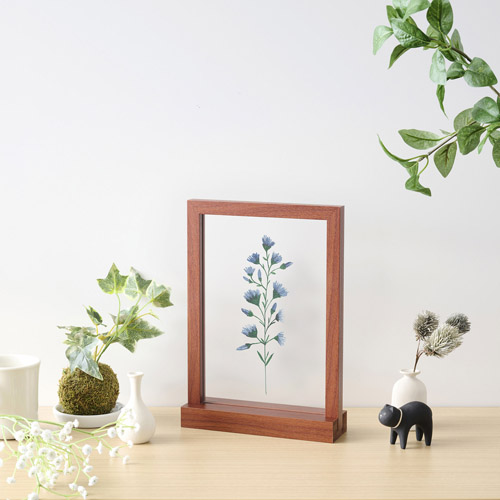 �g�p�C���[�W