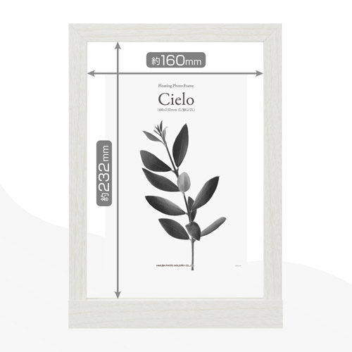 ���R�ȃ��C�A�E�g�ŏ����