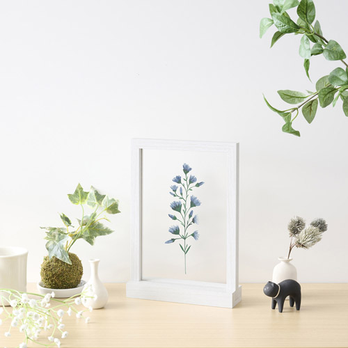 �g�p�C���[�W