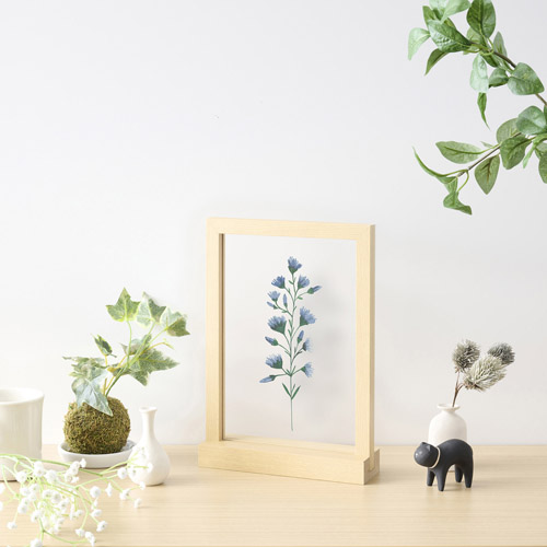 �g�p�C���[�W