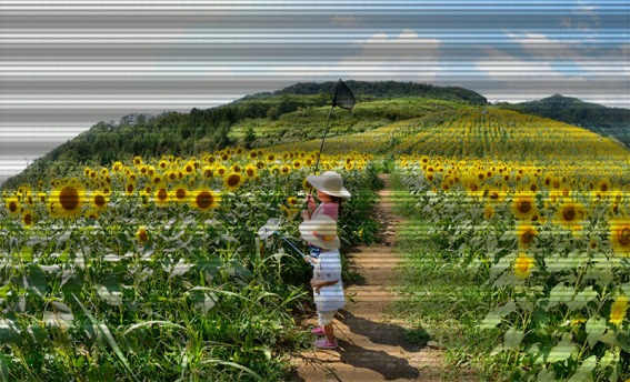 �v�����X�g���]�����f��