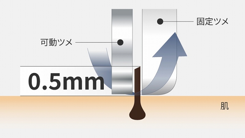 �c���̋Z�p