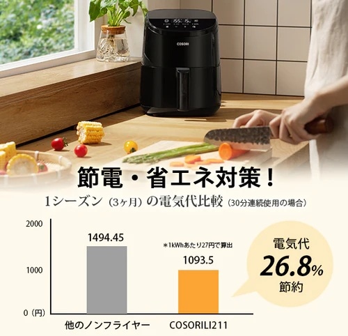 �ߓd�E�ȃG�l�΍�