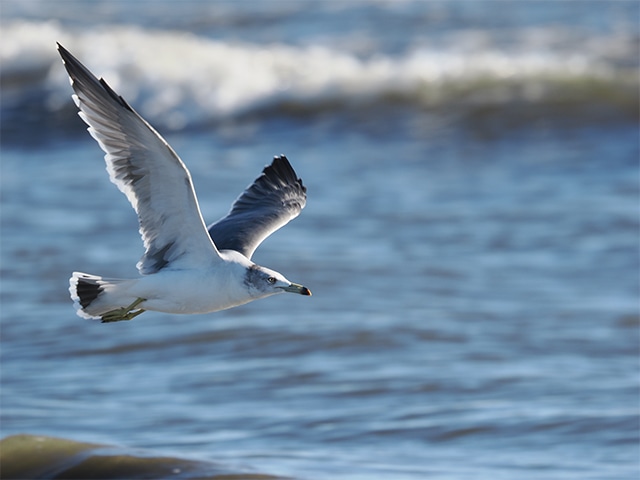 900mm����[1] 1/640�b F6.2 ISO400 +2.0EV