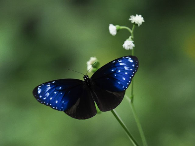 ���͂̃e���}�N���B�e