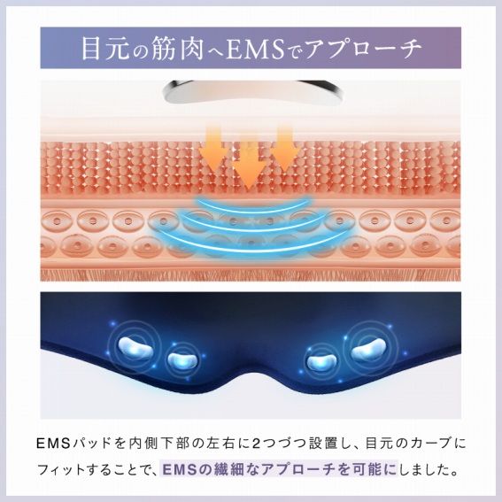 �ڌ��̋ؓ���EMS�ŃA�v���[�`