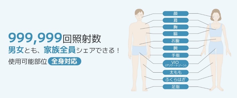 �S�g�Ή�