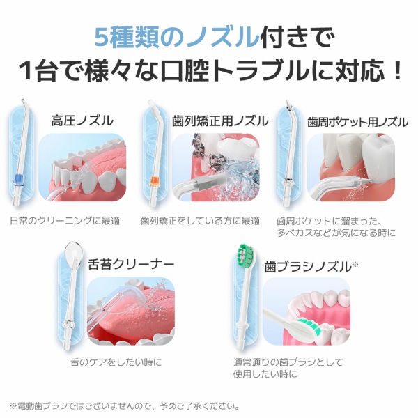 5��ނ̃m�Y���t��