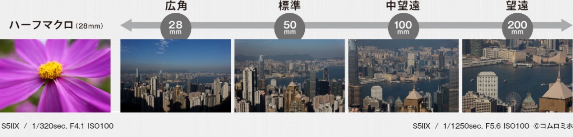 ���{���Y�[�������Y