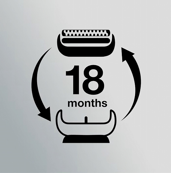 �V�i���l�̒�薡��