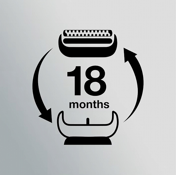 �V�i���l�̒�薡��