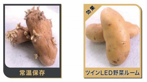 [�c�C��LED��؃��[��]