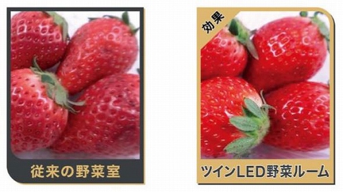 [�c�C��LED��؃��[��]