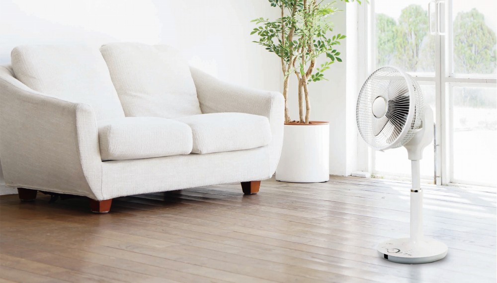 �~�jDC���r���O�t�@���@CFDU244WH