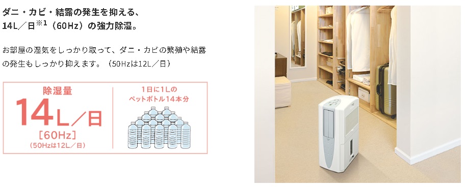 ���� �p���t������