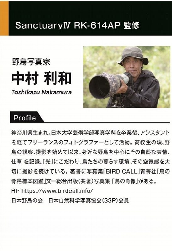 �쒹�ʐ^�� �������a���ďC