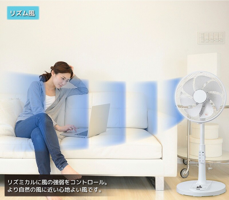 ���R�̕����Č�����u���Y�����v