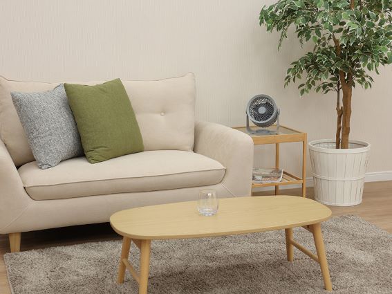 �����ԉғ�