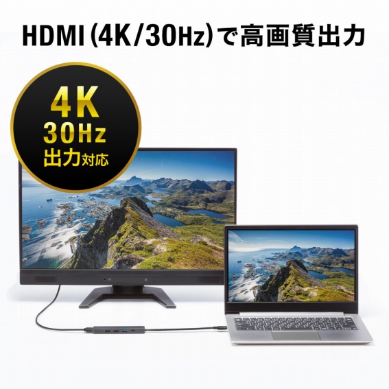 HDMI�ō��掿�o��