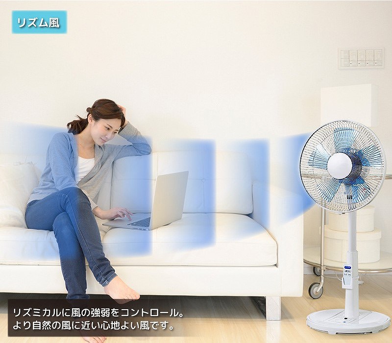 ���敗�̂悤�ȁu���Y�����v