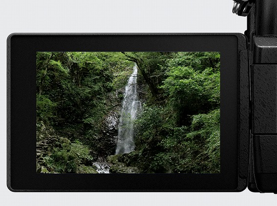 �p�i�\�j�b�N LUMIX GH5 II �~���[���X���J���� ���F������Əȓd�͉��𗼗�