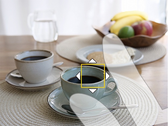 �p�i�\�j�b�N LUMIX GH5 II �~���[���X���J���� �^�b�`AF & �^�b�`AE