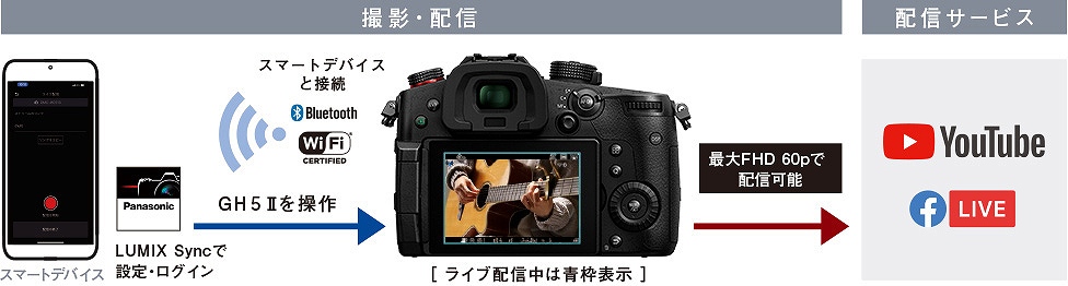 �p�i�\�j�b�N LUMIX GH5 II �~���[���X���J���� ���C�u�z�M�Ή�