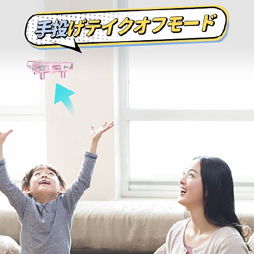 �蓊���e�C�N�I�t���[�h