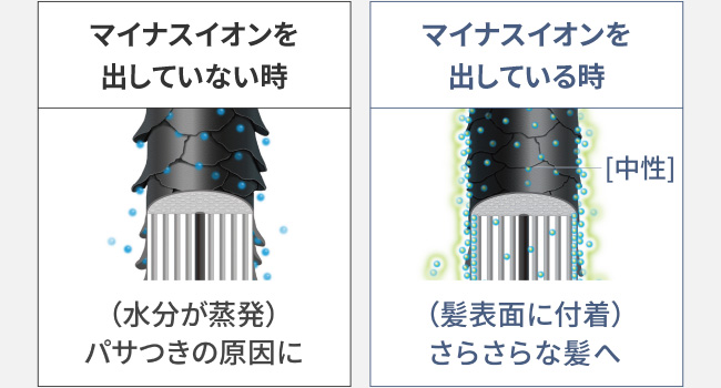 �M��^���Ă� ���̐��������