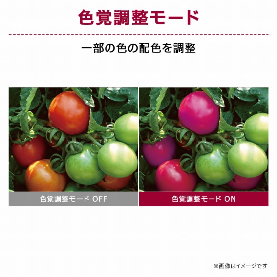 �F�o�������[�h