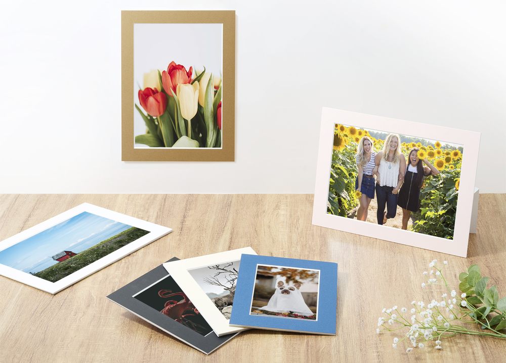 �ʐ^���������ނ����ŊȒP�ɏ���邨��y�Ȏ����t���[��