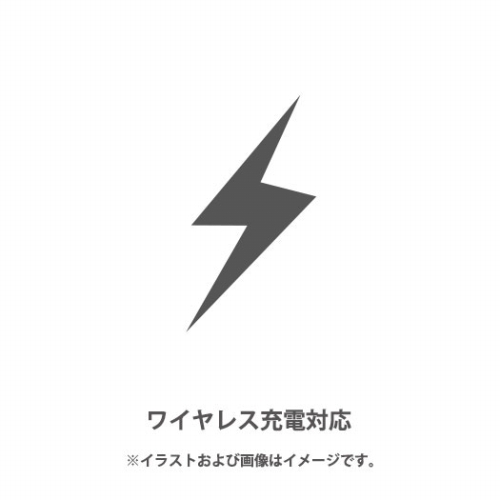 ���C�����X�[�d�Ή�