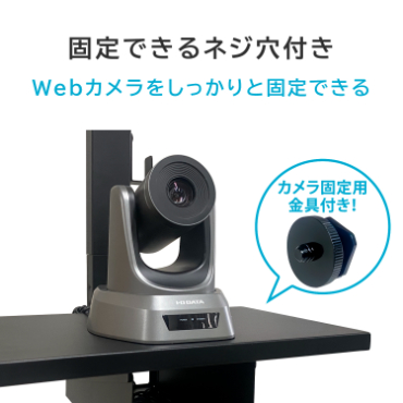 �Œ�ł���l�W���t��