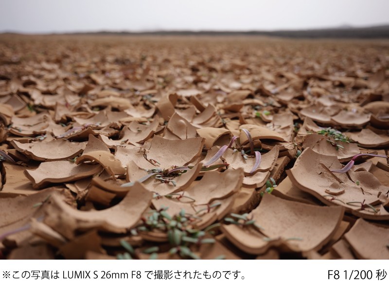 ���ʐ��������A�p���t�H�[�J�X�̗l�ȎB�e���� �{�P�\���܂ō����`�ʗ͂�����