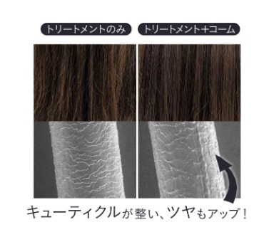 �L���[�e�B�N���������A�c�����A�b�v