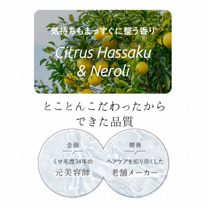 �C�������܂������ɐ�������