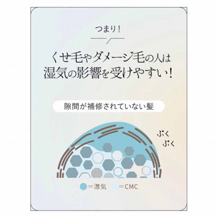 �����т�_���[�W�т̐l�͎��C�̉e�����󂯂₷��