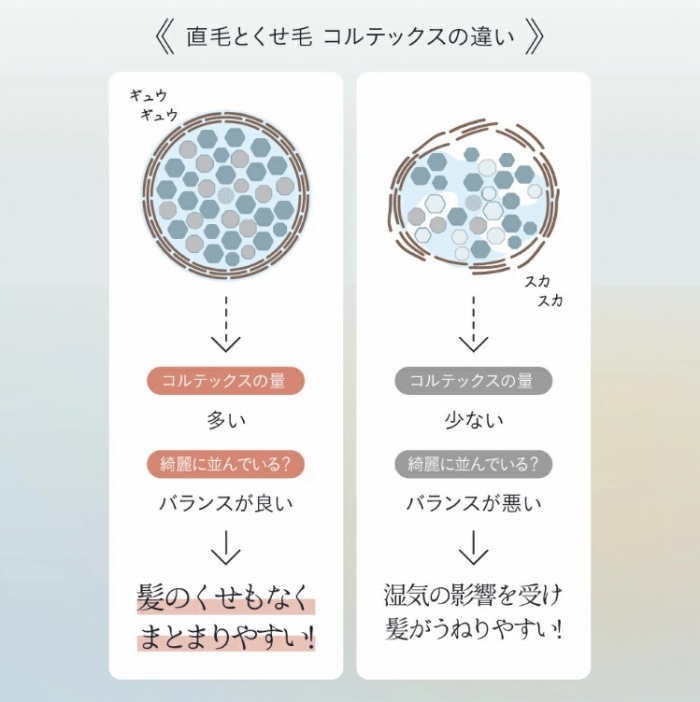 ���тƂ����с@�R���e�b�N�X�̈Ⴂ