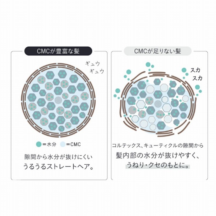 CMC���L�x�Ȕ��͌��Ԃ��琅���������ɂ������邤��X�g���[�g�w�A�B