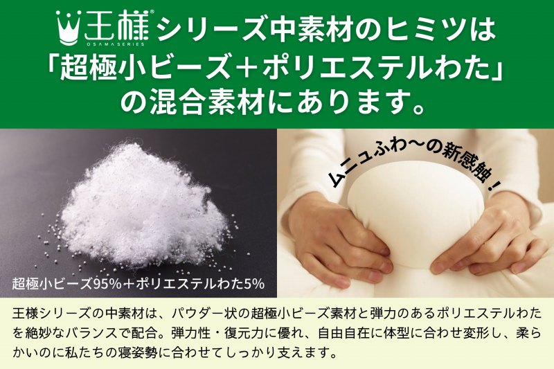 �u���ɏ��r�[�Y�{�|���G�X�e���킽�v�̍����f��