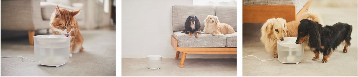 �������ȉƑ��Ɖ��K�ɕ�炷 �S���炮������