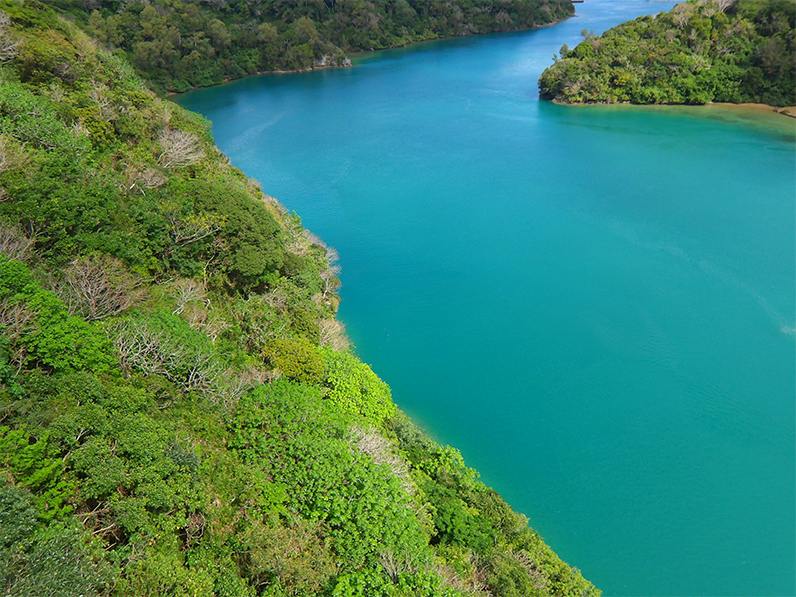 �N���A�ȉ摜���B�e