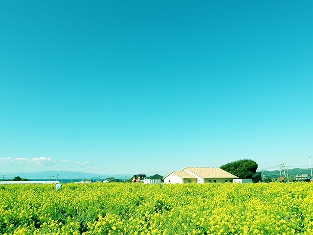 �C�^���A�X�^�C��