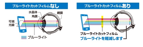 �ᐸ��J�̗v���̈�̃u���[���C�g���J�b�g