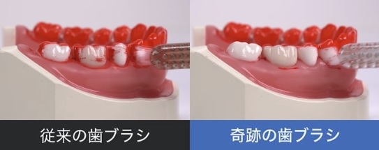 �y���Ȃ��邾���I�Ⴂ�͗�R�I