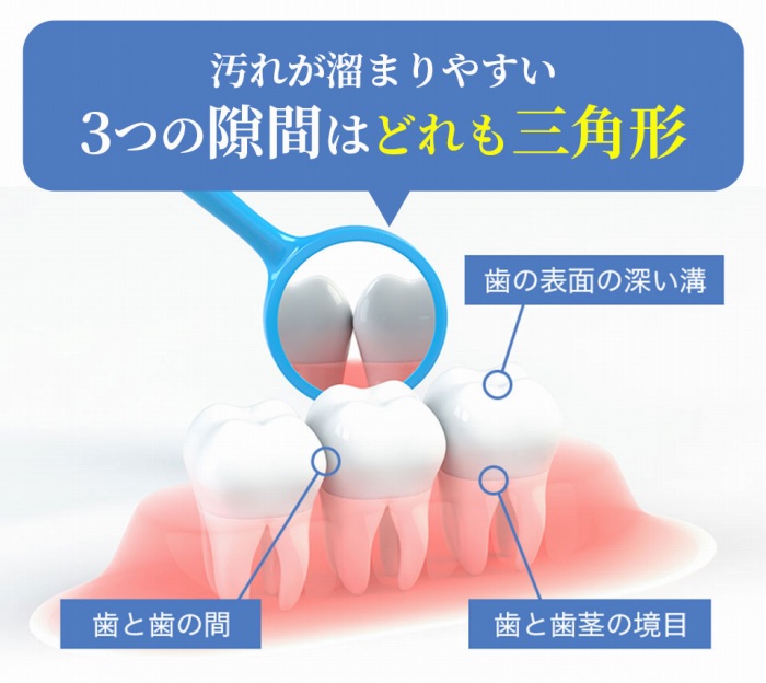 �����������݂����Ƃ́A���̌��Ԃ݂���