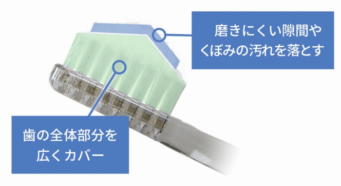 ���u���V�̖т�2�i�ɕ������\��