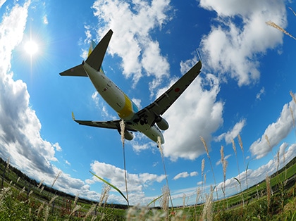 ���჌���Y���L�̃��j�[�N�ȕ\��