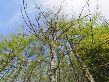 ��p�ݒ�m2�n�i���L�p14mm����*3�j